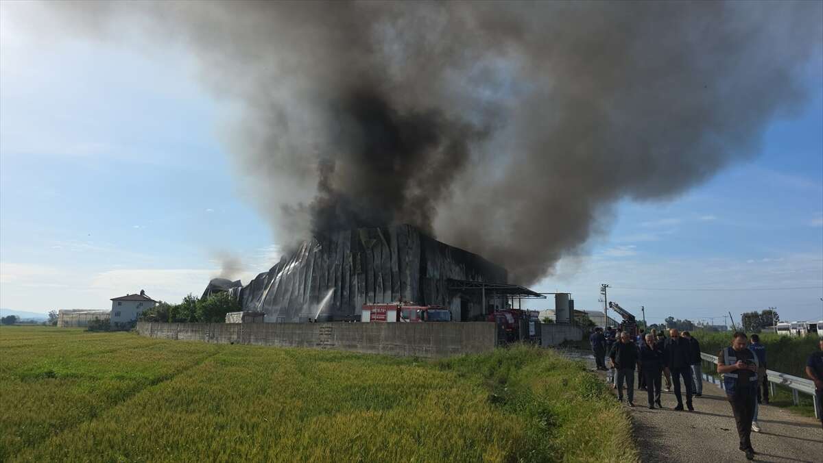 Patates cipsi fabrikasında korkutan yangın! Kullanılamaz hale geldi 6